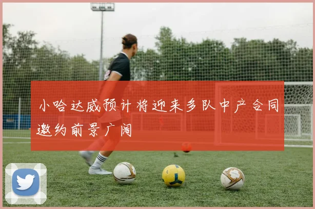 小哈达威预计将迎来多队中产合同邀约前景广阔